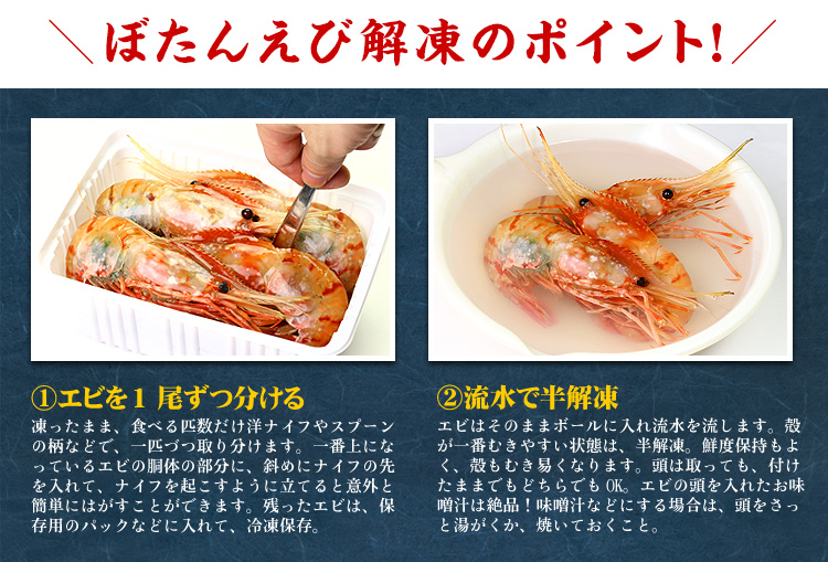 【数量限定】希少な超特大サイズを厳選  ぼたんえび1kg（約15尾前後/3Lサイズ/子無し） ギフト エビ ボタンエビ 牡丹えび FF｜kouragumi｜09