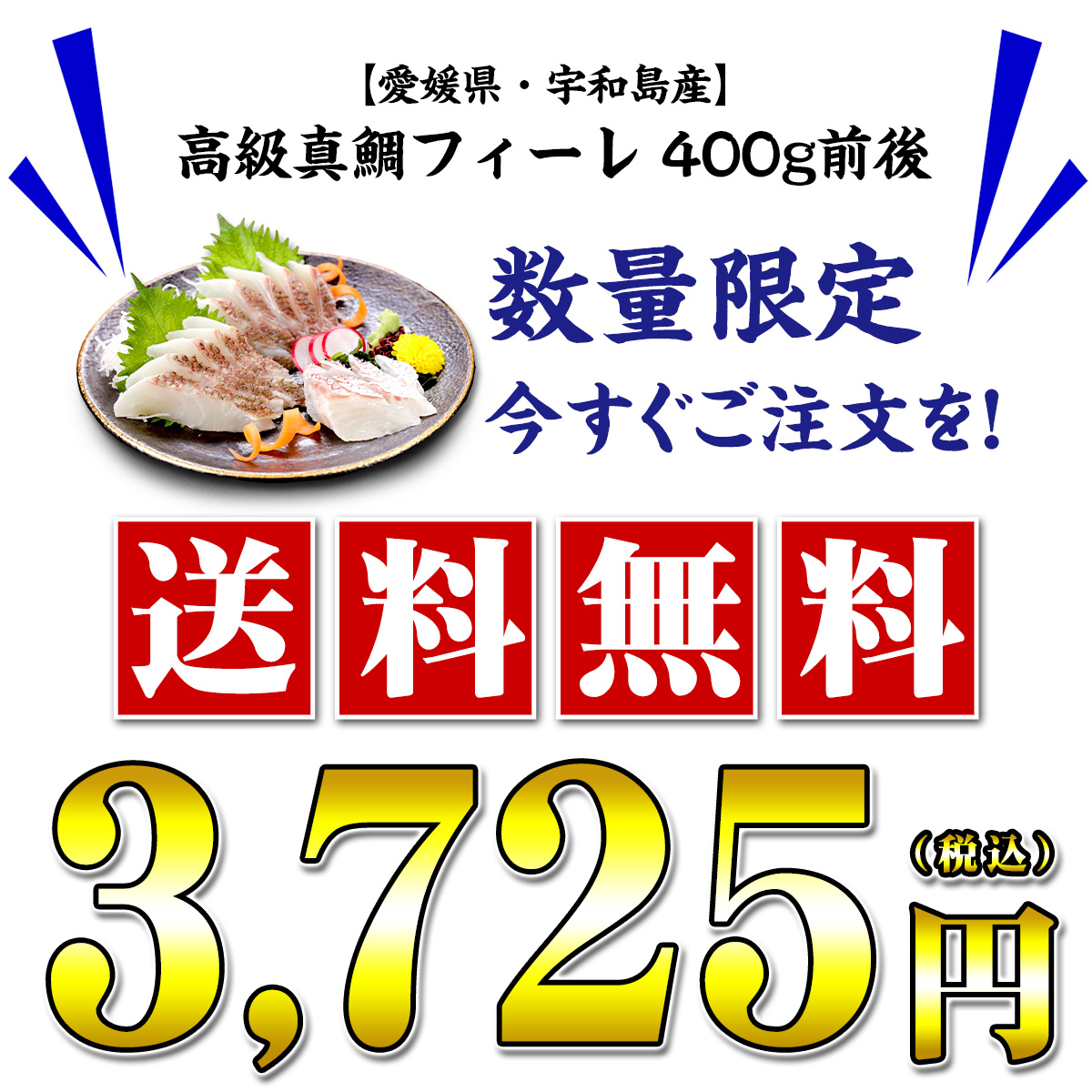 愛媛県宇和島産送料無料3,725円