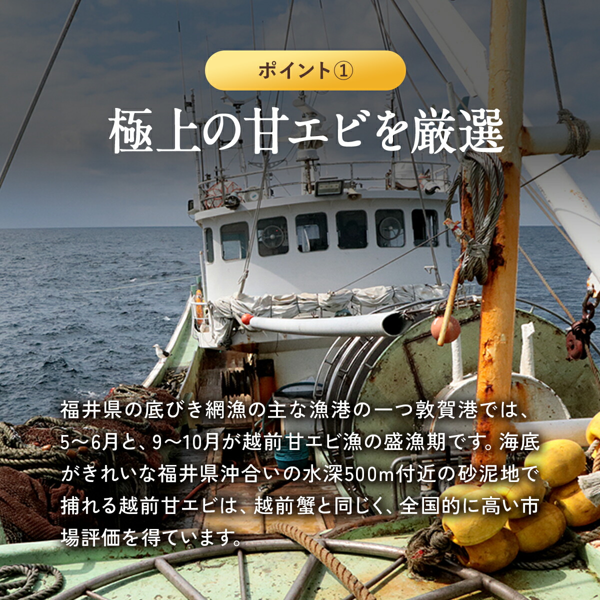 日本海むき甘えび100g 訳あり小サイズ数量限定品※手むき加工のため殻やヒゲ混入する場合があります｜kouragumi｜05