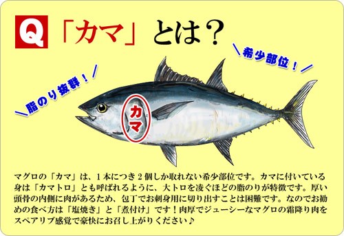 ミナミマグロカマ800g前後(2〜4個 ※大小バラツキあり) まぐろ 鮪 かま 魚 希少 居酒屋 FF : 210077 : 越前かに職人 甲羅組 -  通販 - Yahoo!ショッピング