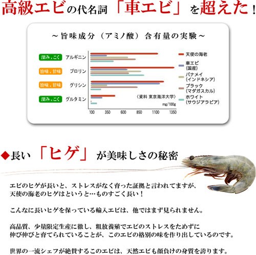 高級クルマエビを超えた!?世界の一流シェフが絶賛!天使の海老 1kg 30〜40尾入 送料無料 エビ えび 天使のエビ プレゼント FF ポイント利用 爆買 関連画像3