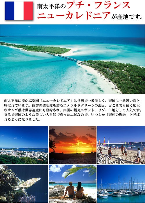高級クルマエビを超えた!?世界の一流シェフが絶賛!天使の海老 1kg 30〜40尾入 送料無料 エビ えび 天使のエビ プレゼント FF ポイント利用 爆買 関連画像4