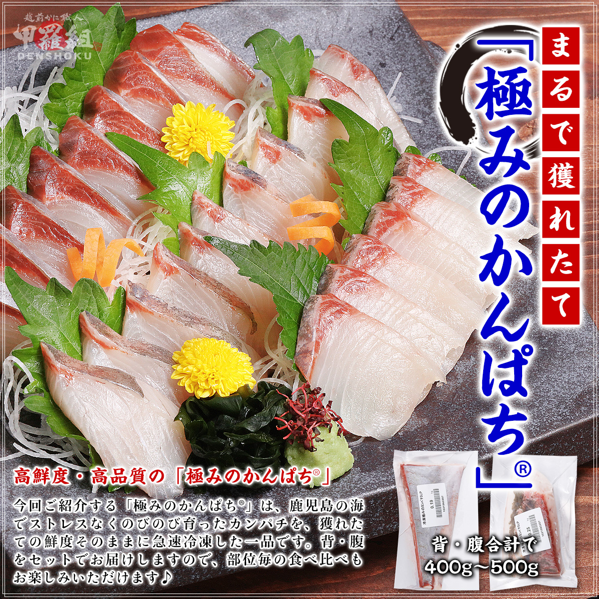 鹿児島産「極みのかんぱち」 背・腹 400g〜500g カンパチ 勘八 間八