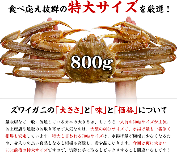 カニ かに 蟹 特大サイズ 生ずわいがに姿800g前後×2尾入 ズワイガニ ギフト 贈り物 誕生日 お歳暮 FF : 110013 : 越前かに職人  甲羅組 - 通販 - Yahoo!ショッピング