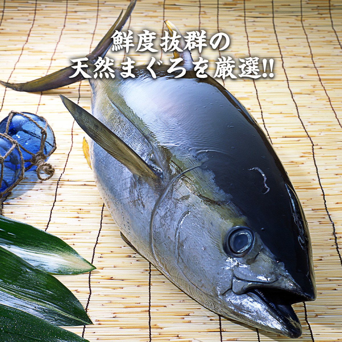【10/25以降発送】天然まぐろ&サーモンねぎとろ食べ比べセット マグロ ネギトロ たたき 海鮮 鮭 冷凍 海鮮丼 寿司 サーモントラウト 手巻き寿司 爆買 関連画像2