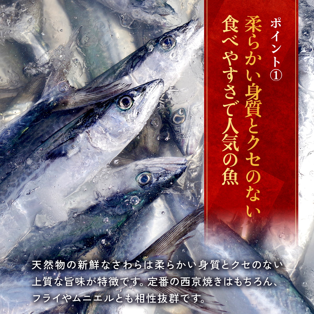 天然 無塩 骨取 さわら 切身 1kg 食べ放題 (40g×25) 無添加 骨取り 切り身 サワラ 鰆 弁当 保育園 離乳食 白身 白身魚 | 甲羅組 | 05