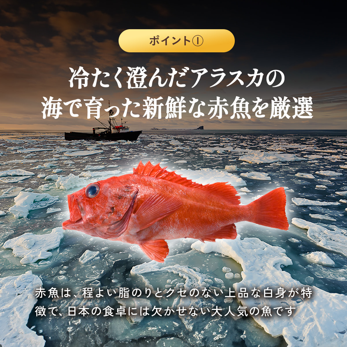 【訳あり】無塩 骨取り 赤魚 切身 1kg アカウオ あかうお 切り身【わがママ骨取り切身】冷凍 弁当 朝食 骨なし  煮付け 業務用 ポイント利用 | 甲羅組 | 06