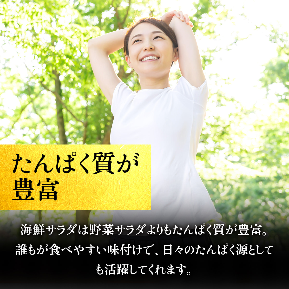 タンパク質が豊富