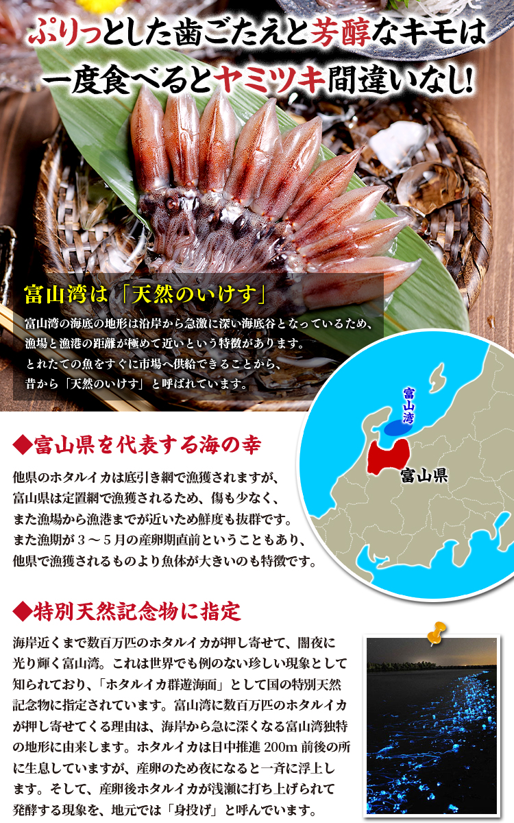 富山湾は天然のいけす
