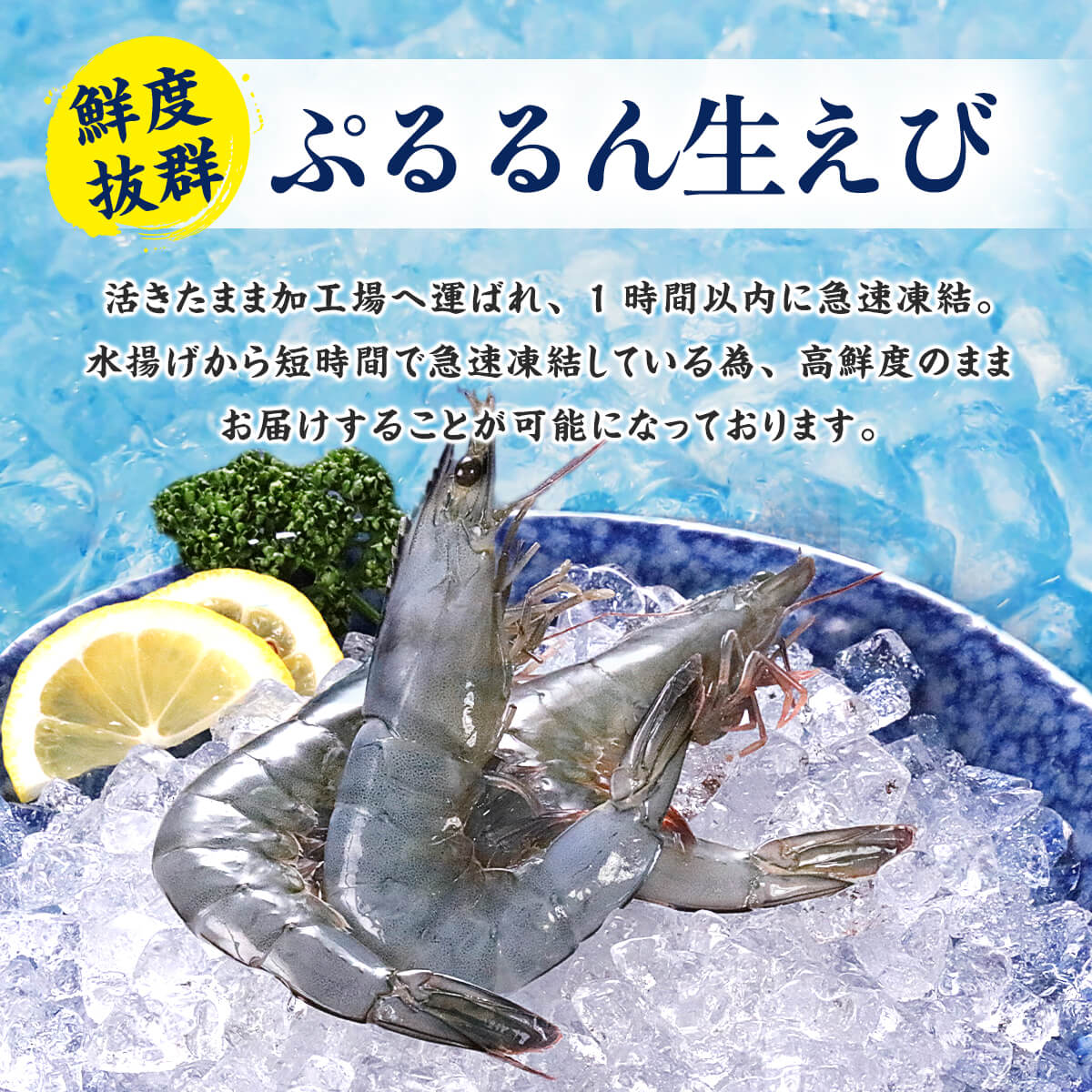 説明1