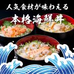 簡単&便利♪ 選べる海鮮ぶっかけ丼の素 各種1...の詳細画像3