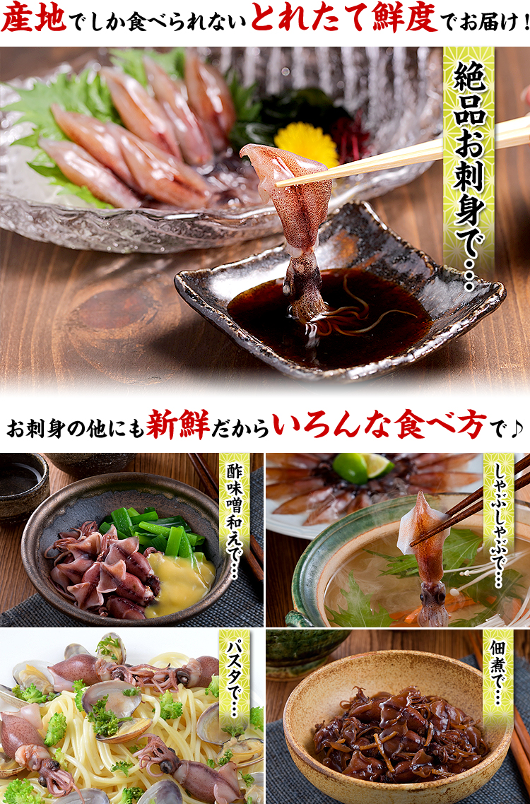 ホタルイカ 生 ほたるいか 2025 新物 A級 1kg (250g×4パック