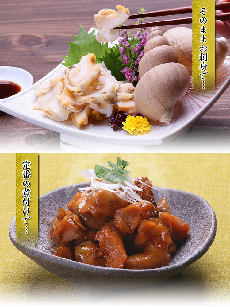 バイ貝　10キロ 楽天市場】ばい貝（総重量（水産物）1.0 ～ 1.9kg）（貝類｜魚介