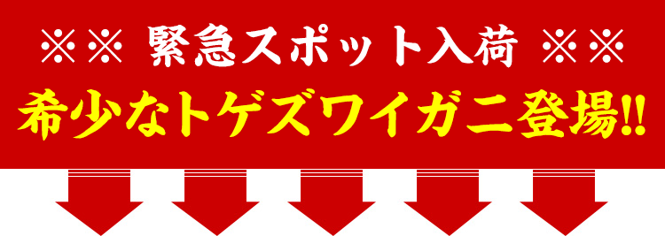 緊急スポット