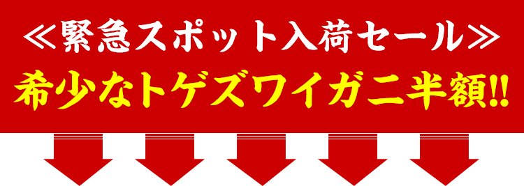 緊急スポット