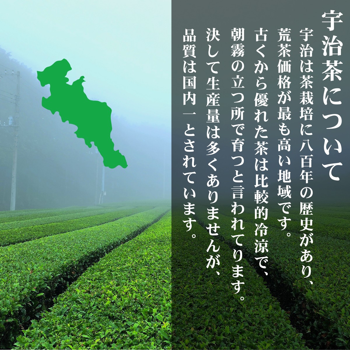 Matcha uji 宇治抹茶 茶道 京昔 粉末 抹茶 高級 40g 京都 光露園