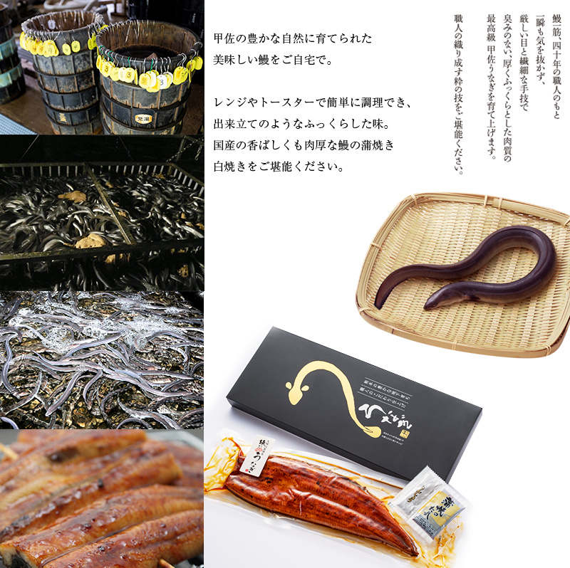 うなぎ蒲焼き