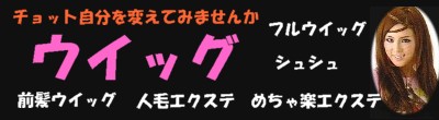 プリシラ ワイドエクステンション ストレートシャギー エクステ つけ毛