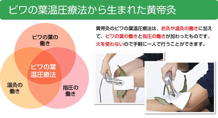 お灸 黄帝灸 ナノプラチナ II型 電気 温灸器 電気のお灸 ビワ びわ葉