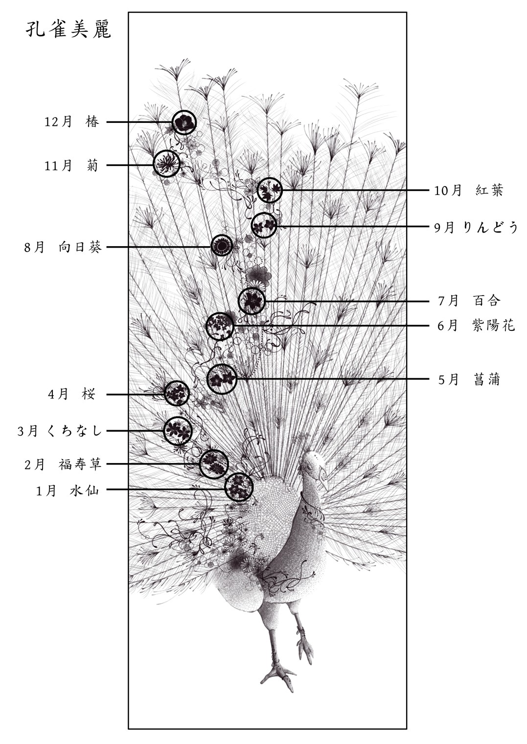 掛け軸 本金箔押 孔雀美麗 田畑汐華 金箔が語る 掛け軸の新章 本金箔
