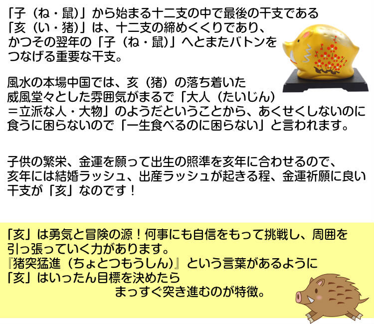 貯金箱 かわいい 干支の置物 亥 イノシシ いのしし 置物 干支 風水 縁起物 金運アップ グッズ 2024 (  金運祈願の亥(いのしし・猪)赤色フェルト 風水古銭付 )