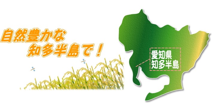 あいちのかおり 新米 白米 あいちのかおり10kg 令和6年愛知県産
