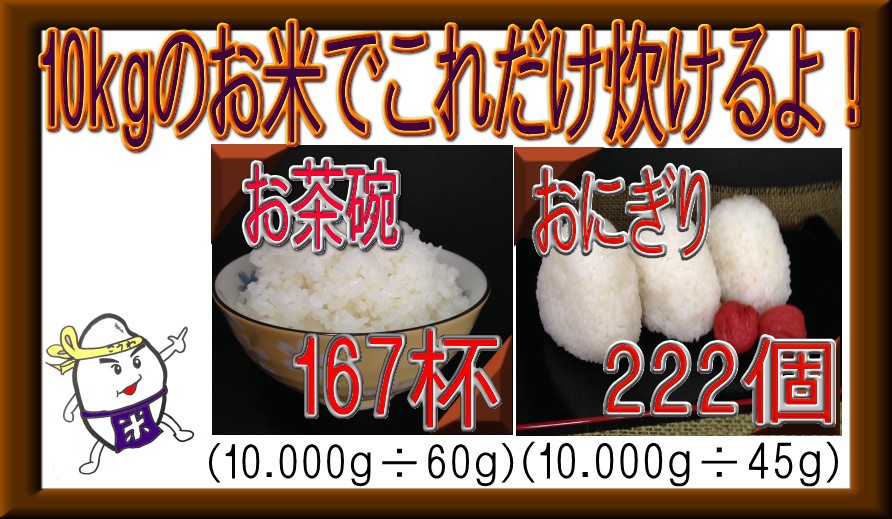 あいちのかおり 愛知県産 10kg 令和6年産 白米 5kg×2袋 : 米屋の