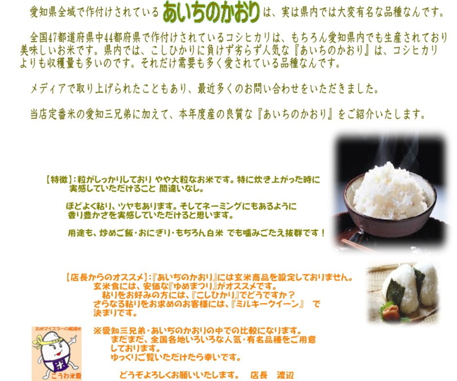 あいちのかおり 新米 白米 あいちのかおり10kg 令和6年愛知県産