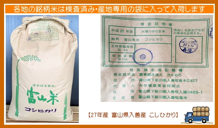 コシヒカリ 白米 入善産こしひかり 10kg 令和7年産 富山県産 : お米