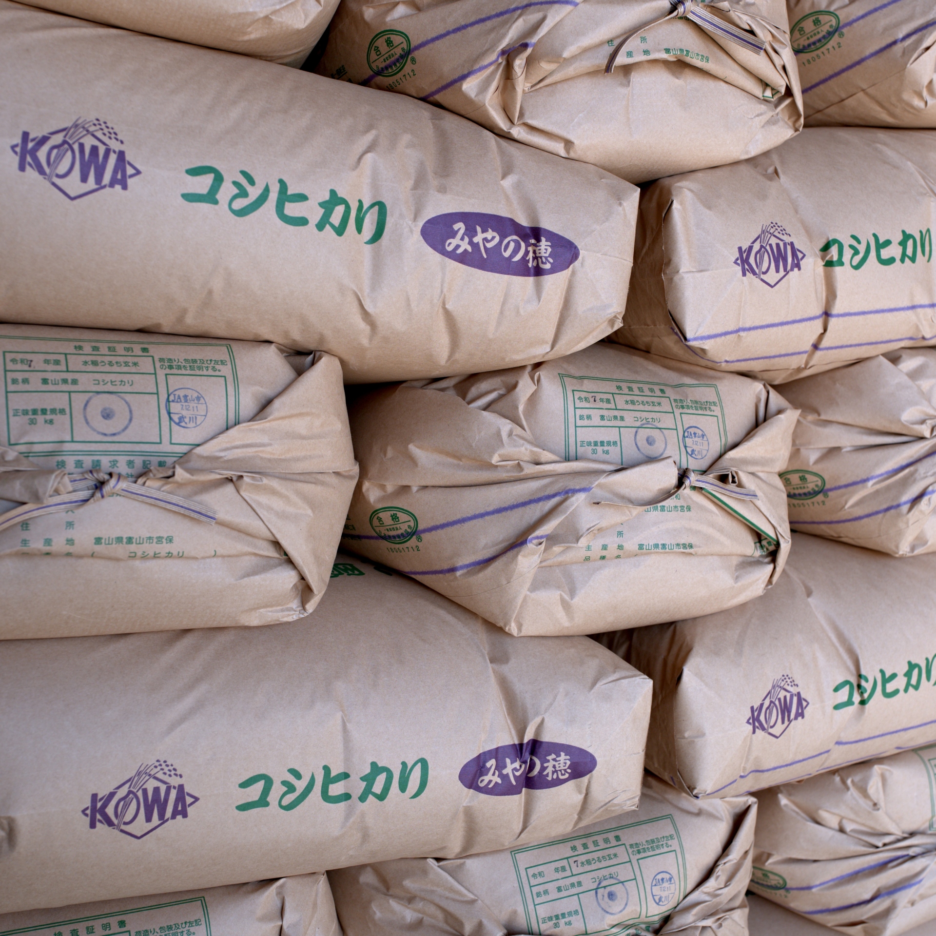 富山県産コシヒカリ