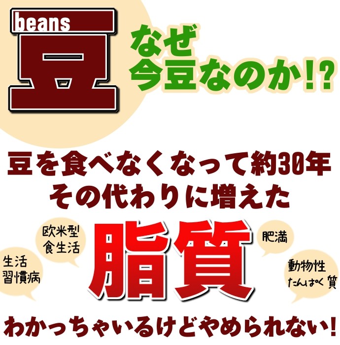 豆 大正金時豆 北海道産 送料無料