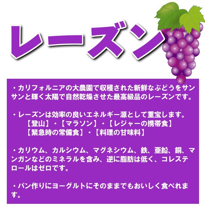 ドライフルーツ レーズン 送料無料