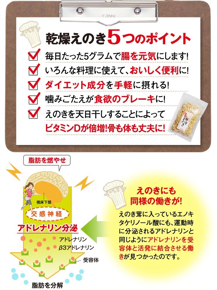 国産 乾物 えのき茸 乾燥えのき