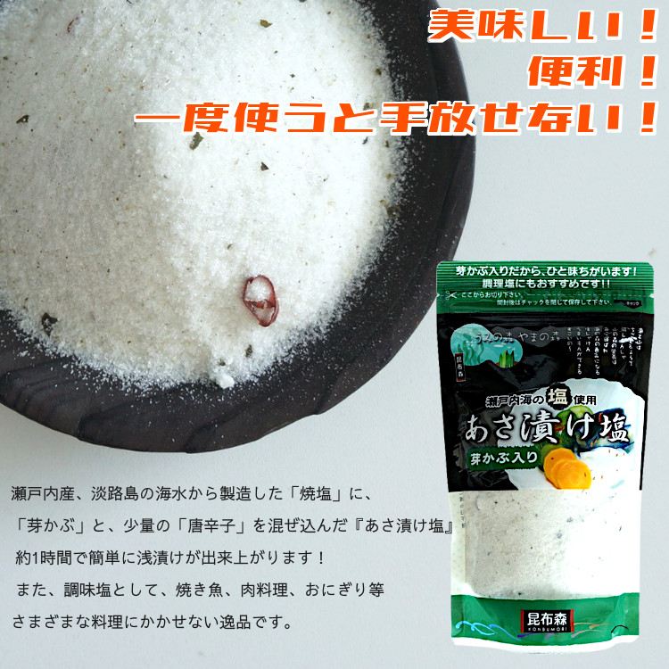 あさ漬け塩 芽かぶ入り 送料無料