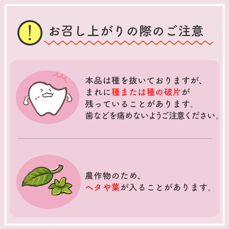 ドライフルーツ 種抜き プルーン 送料無料