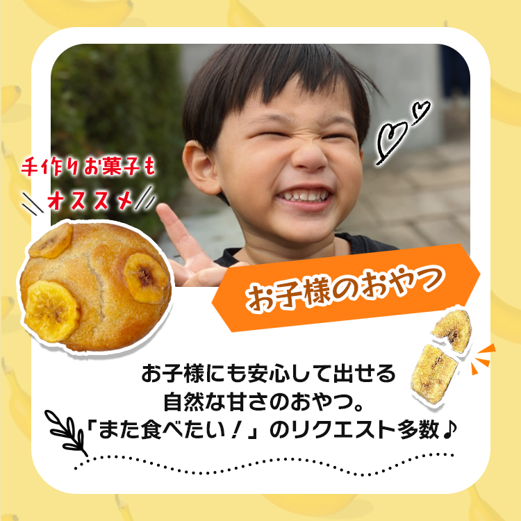 ドライフルーツ バナナチップス トーストタイプ 送料無料