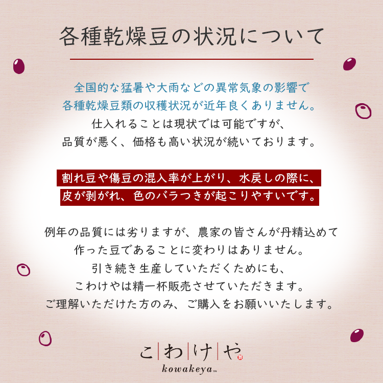 豆 黒豆 北海道産 送料無料