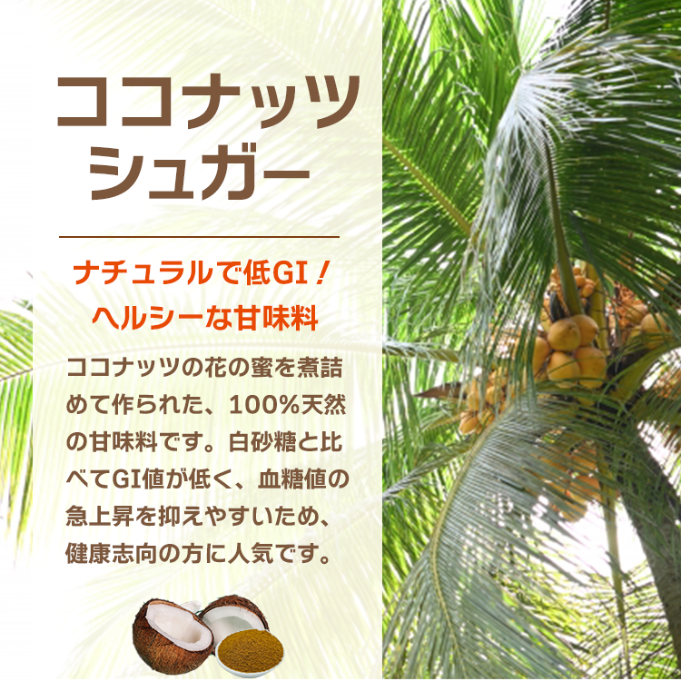 調味料 砂糖 ココナッツ シュガー フィリピン 送料無料