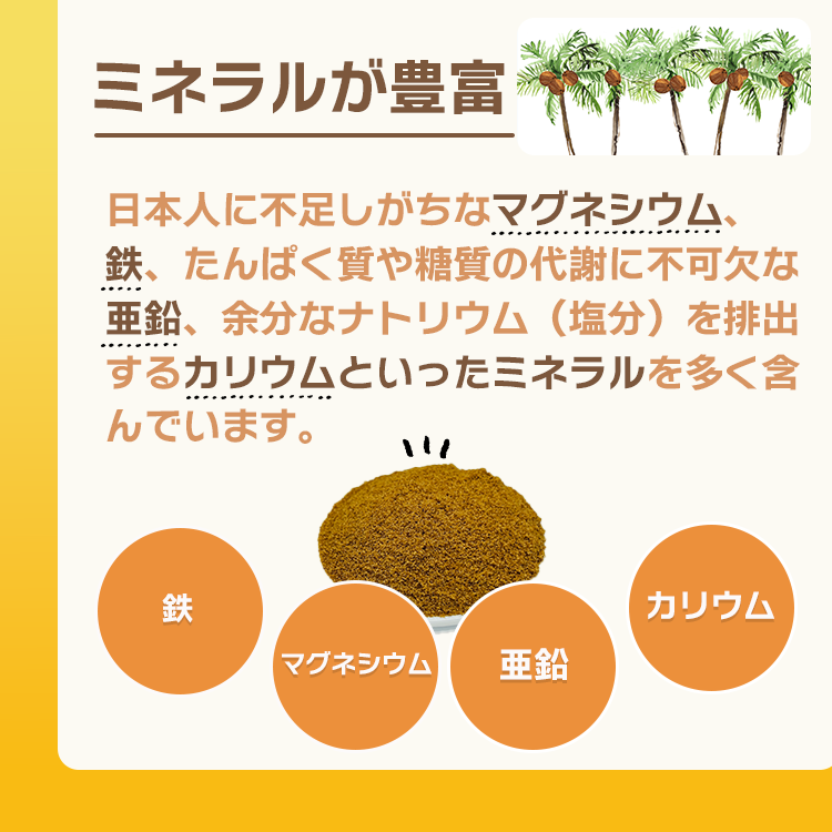 調味料 砂糖 ココナッツ シュガー フィリピン 送料無料