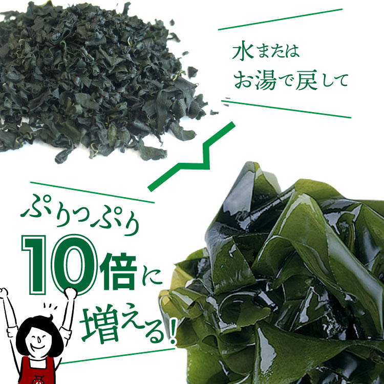 鳴門産 乾燥 わかめ 送料無料
