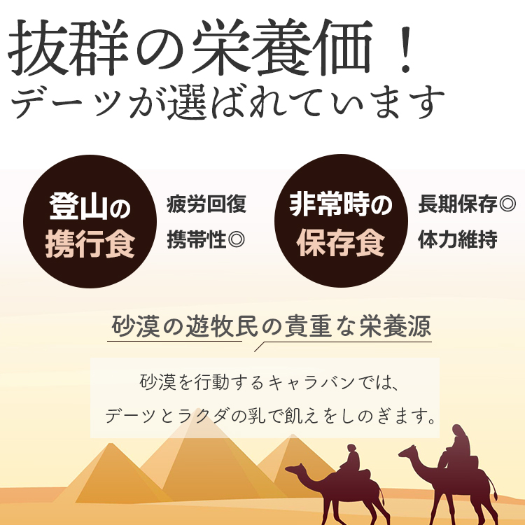 ドライフルーツ 種抜きデーツ 送料無料