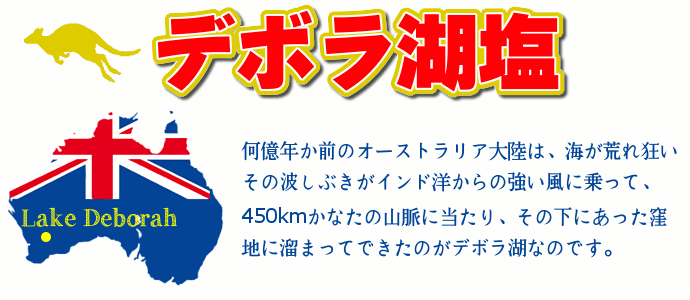 塩 デボラ湖 湖塩 デボラ湖塩