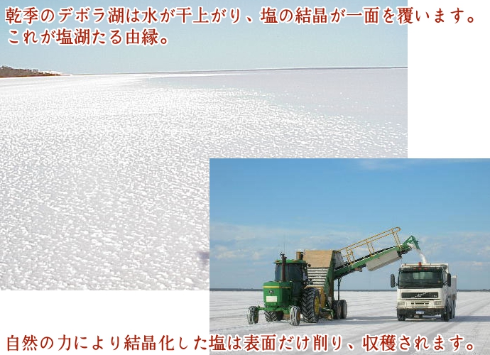 塩 デボラ湖 湖塩 デボラ湖塩