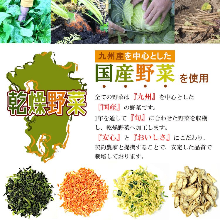 国産 乾燥野菜 送料無料