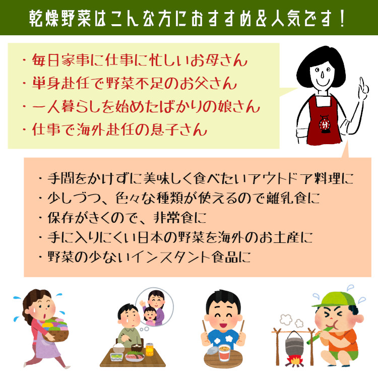 乾燥野菜 国産 送料無料