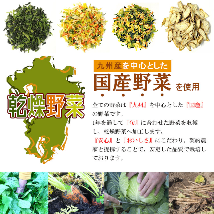 乾燥野菜 国産 送料無料