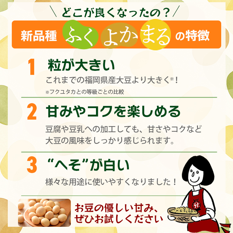 福岡県産大豆《ふくよかまる・3等級・中粒》5kg×2 / チャック付