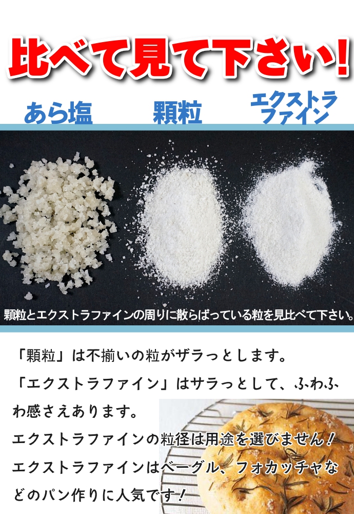 塩 天日塩 ゲランドの塩 微粒
