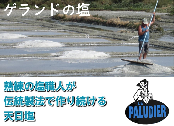 塩 天日塩 ゲランドの塩 粗塩