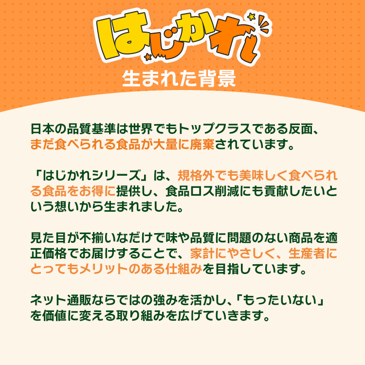 ごぼう はじかれ 国産 乾燥野菜 送料無料